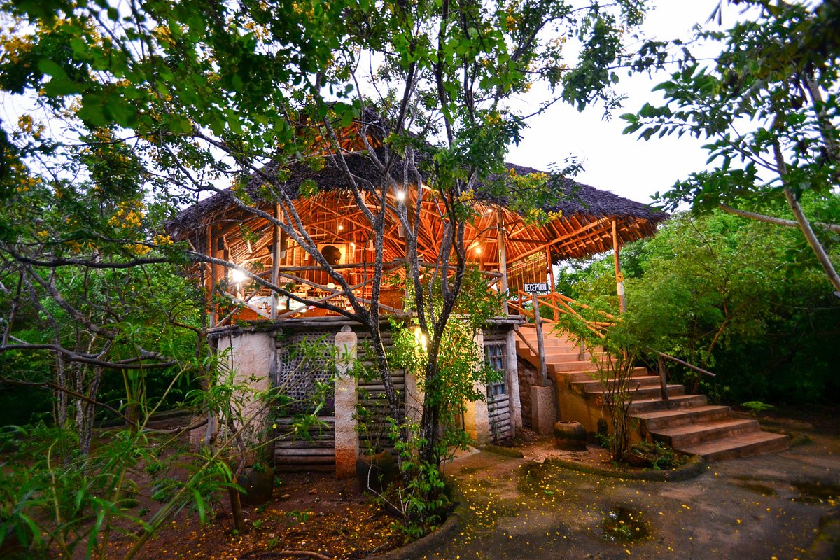 Stilts Tree Houses